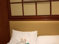-上海雅居乐万豪侯爵酒店