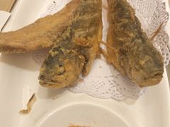 -金春禧(世茂国际广场店)