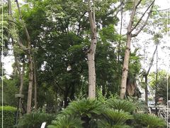 -柳侯公园