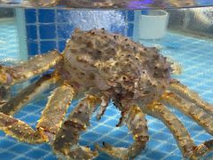 -海旺小海鲜大排档(冠亚星城店)
