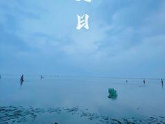 -南汇嘴观海公园