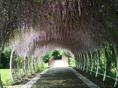 -同里国家湿地公园