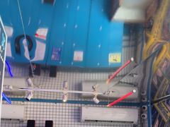 -移动谜城·大笨象密室逃脱(五棵松店)