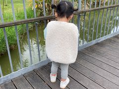 -白鹭湾湿地公园