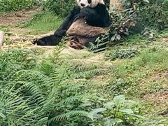 -石排湾郊野公园