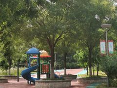 -大兴滨河森林公园