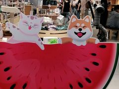 -狗道宠物(常熟印象城店)