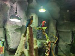 -Zoolung Zoolung动物主题公园(海信广场店)