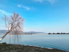 -尚湖风景区