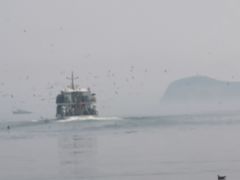 -海驴岛(荣成市)