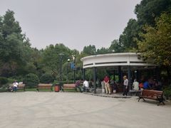 -大关公园