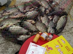 -陈氏渔具(金兴市场店)