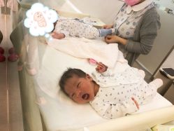 -海豚湾高端月子会所(黄浦店)