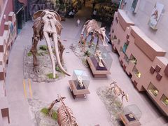 -陕西自然博物馆