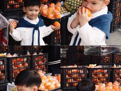 -华威西营里农产品批发市场