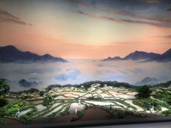 -中国湿地博物馆