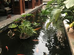 -三亚亚龙湾五号度假别墅酒店