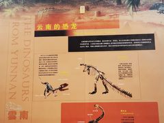 -昆明市博物馆(昆明市文物保护和考古研究中心)