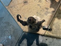 -海合安武汉极地海洋公园