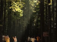 -山王坪喀斯特国家生态公园