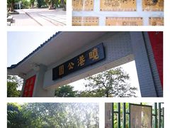 -晓港公园