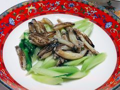 -新光酒家·河豚·海鲜·蟹料理(浦东店)