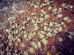 -青岛第三海水浴场