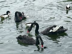 -泉州海丝野生动物世界