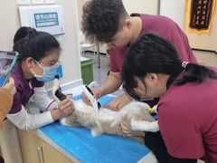 -美联众合爱康动物医院•复杂内科•肿瘤科•牙科•腔镜诊疗中心