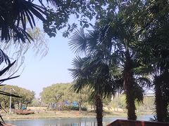 -新江湾城公园