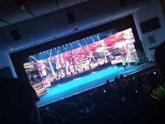 -南风大剧院莎梦二人转剧场
