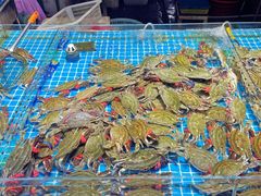-济南海鲜大市场