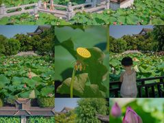 -丝绸小镇荻港古村