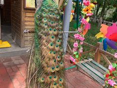 -石家庄市动物园