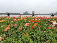 -顺峰山公园