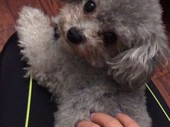 -萌兽医馆·宠物医院·猫骨科(创景店)