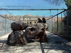 -齐齐哈尔龙沙动植物园