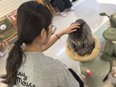 -平行世界·猫咖(首经贸店)