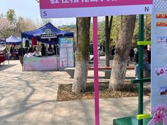 -武汉大学-樱园