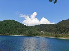 -武陵山森林公园