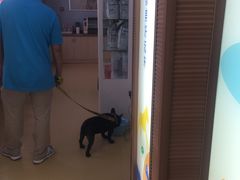 -芭比堂动物医院·犬猫全科·异宠专科(雁塔分院)