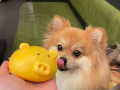 -点心传说·粤菜点心(佐阾虹湾店)