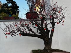 -龙华寺