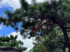 -萍乡武功山风景名胜区