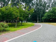 -马家湾湿地公园