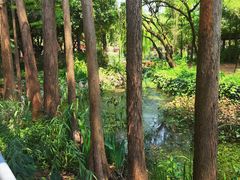 -昆明植物园