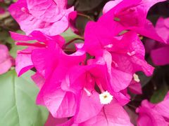 -KK ONE(京基滨河时代店)