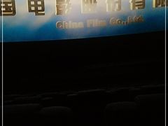 -金逸影城(武汉人信汇IMAX店)