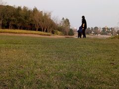 -佘山世茂艾美·御珍轩中餐厅