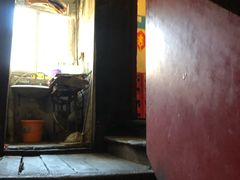 -胖哥料理(兴义里店)